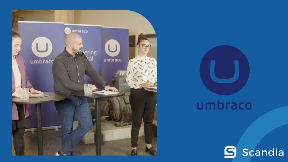 Image related to the content of the blog article title Extending Your Umbraco Back Office