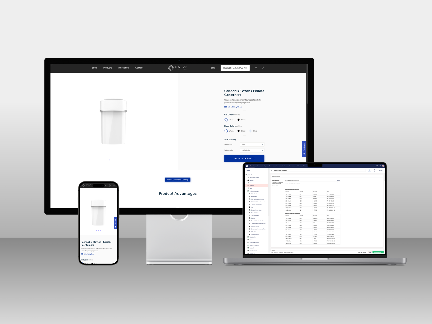 Website Mockup 6818E8fba41589344525c222 @2X