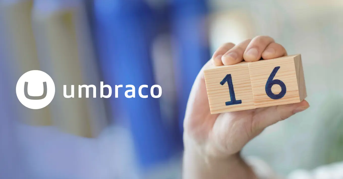 Preview image for article content