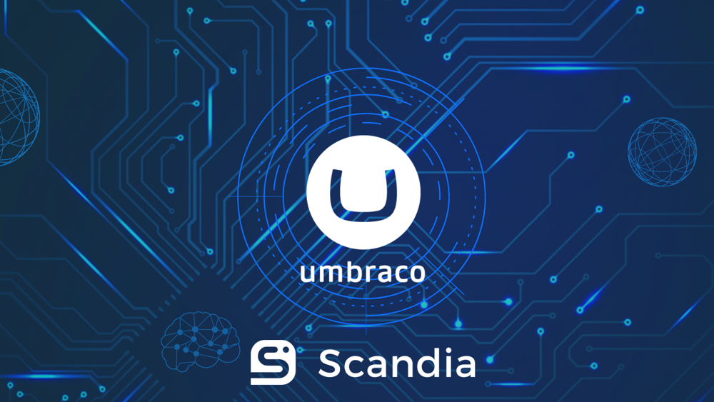 Image related to the content of the blog article title Umbraco Web Development 101